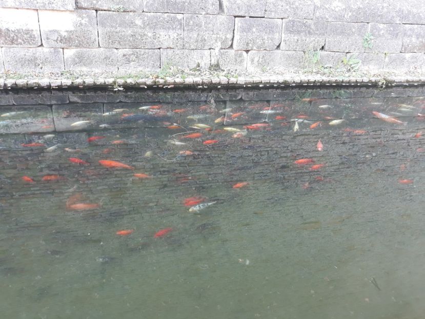  - 2019 - Excursie 26-27 octombrie