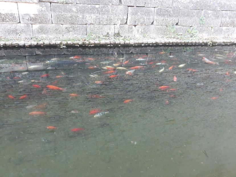  - 2019 - Excursie 26-27 octombrie