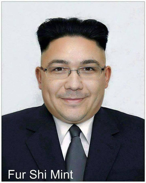  - Poze haioase pamflet