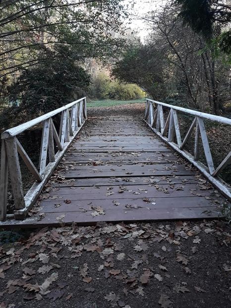  - 2019 - Excursie 26-27 octombrie