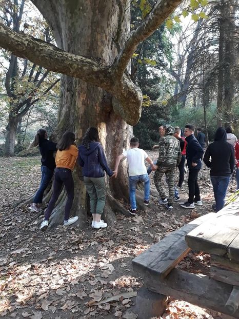  - 2019 - Excursie 26-27 octombrie