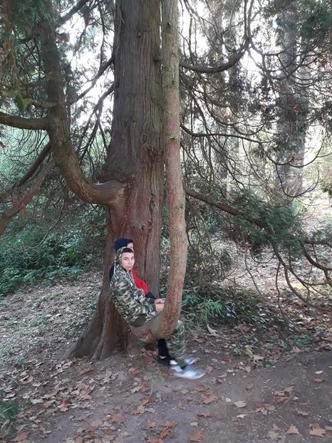  - 2019 - Excursie 26-27 octombrie