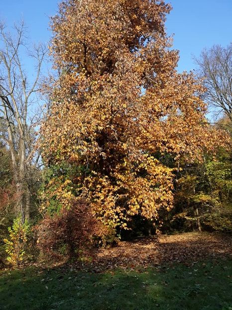  - 2019 - Excursie 26-27 octombrie