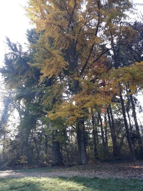  - 2019 - Excursie 26-27 octombrie