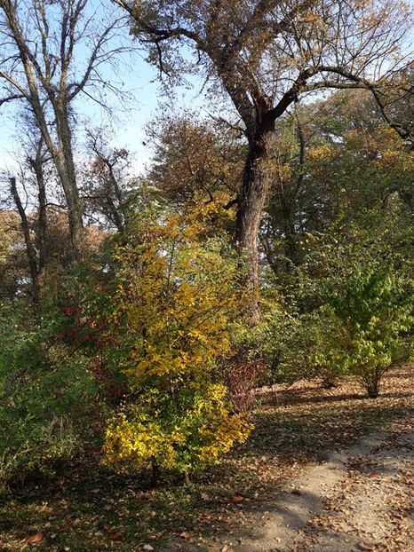  - 2019 - Excursie 26-27 octombrie