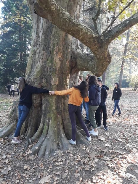  - 2019 - Excursie 26-27 octombrie