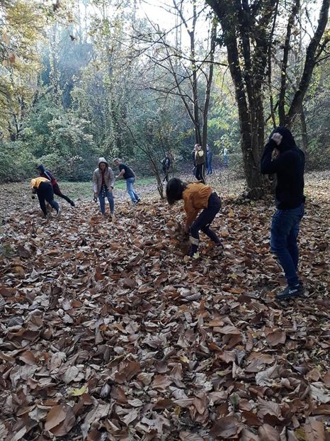  - 2019 - Excursie 26-27 octombrie