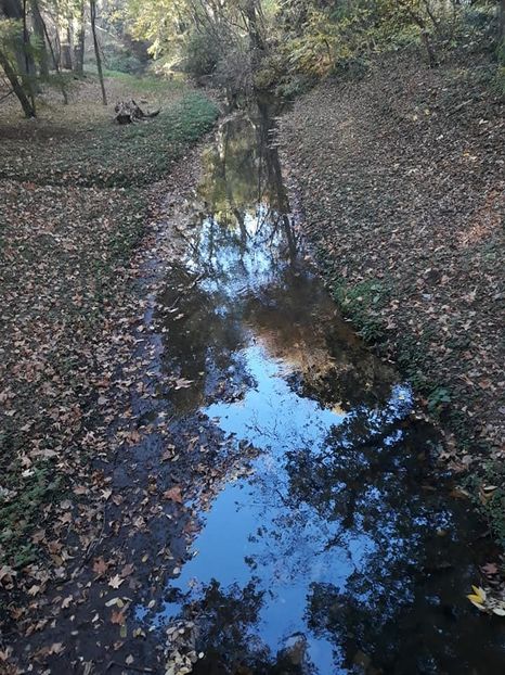  - 2019 - Excursie 26-27 octombrie