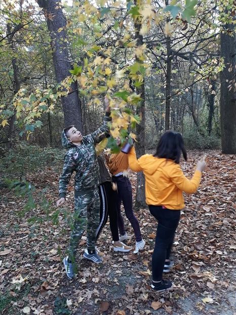  - 2019 - Excursie 26-27 octombrie