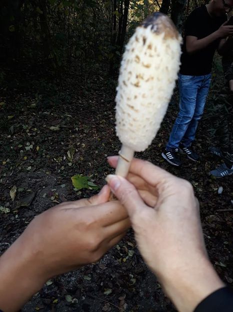  - 2019 - Excursie 26-27 octombrie