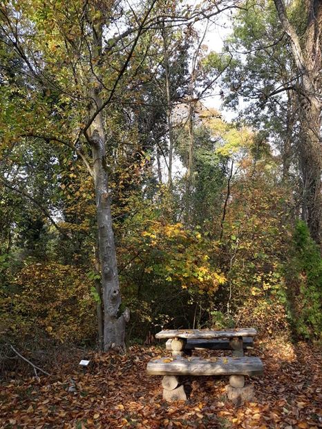  - 2019 - Excursie 26-27 octombrie