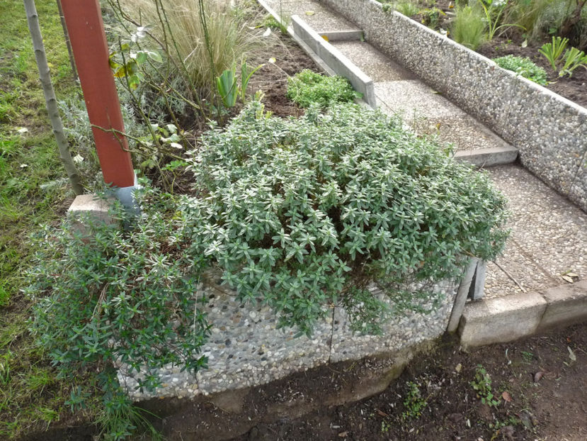  - 2019 - 03 - Toamna