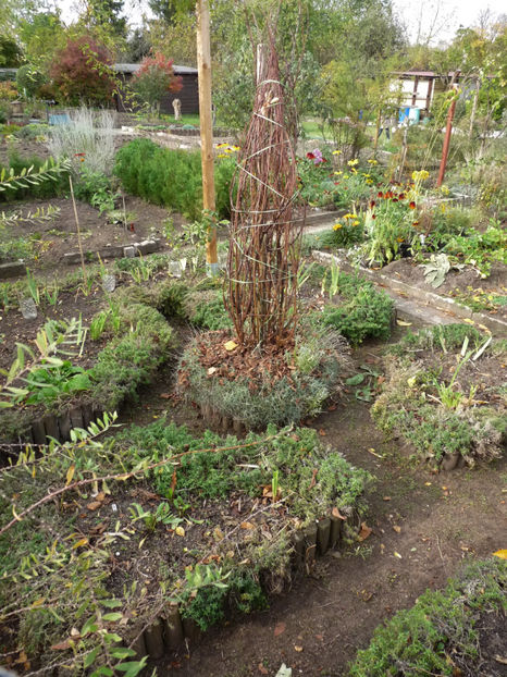  - 2019 - 03 - Toamna