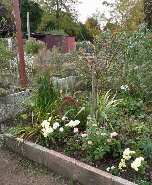  - 2019 - 03 - Toamna