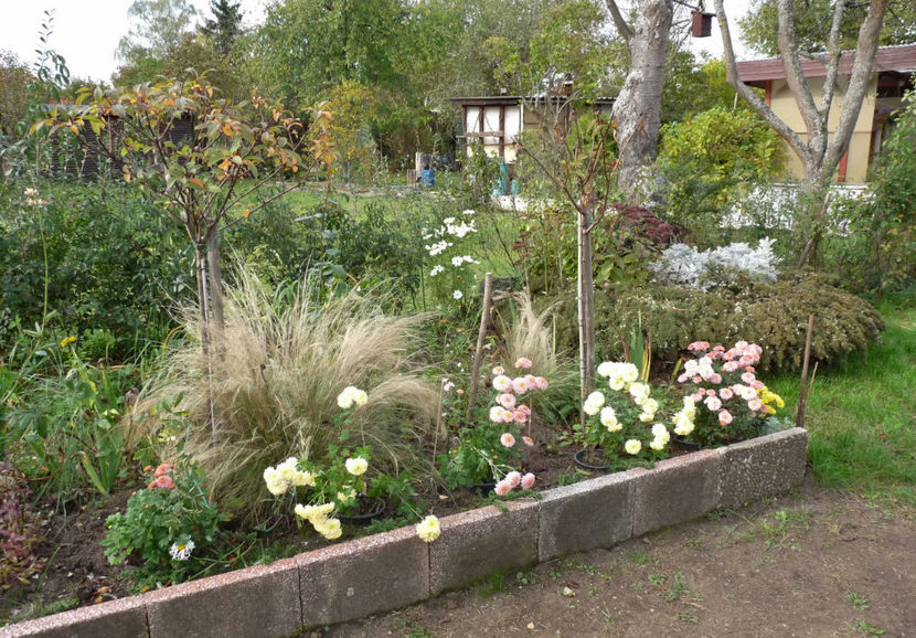  - 2019 - 03 - Toamna