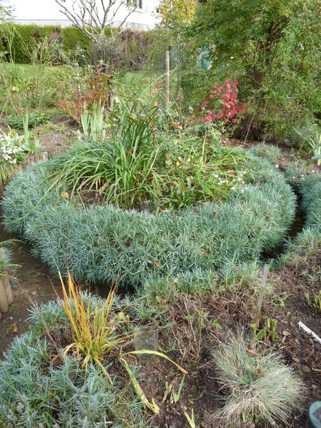  - 2019 - 03 - Toamna