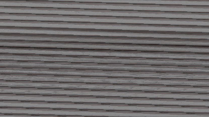  - d californieni 2019