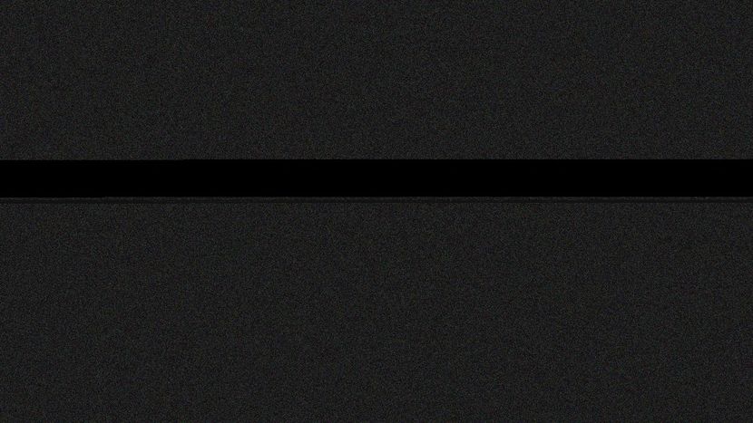  - d californieni 2019