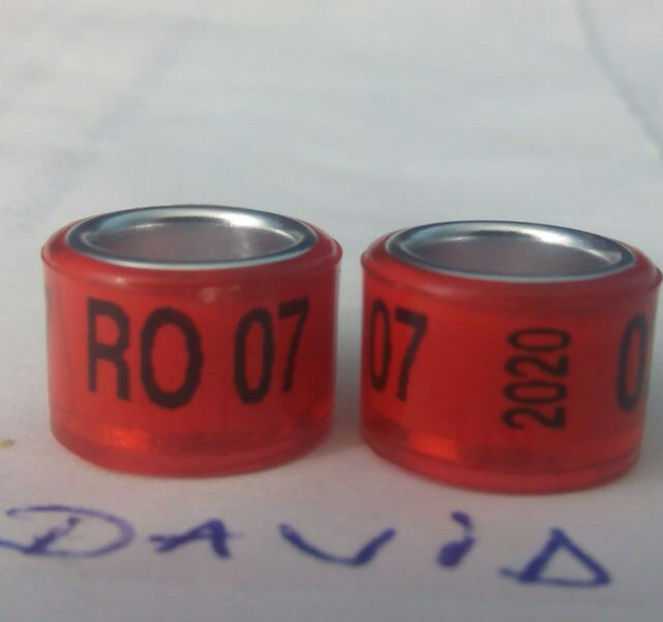 2020-rosu 7mm....-1 leu - Inele porumbei 2020 de vanzare