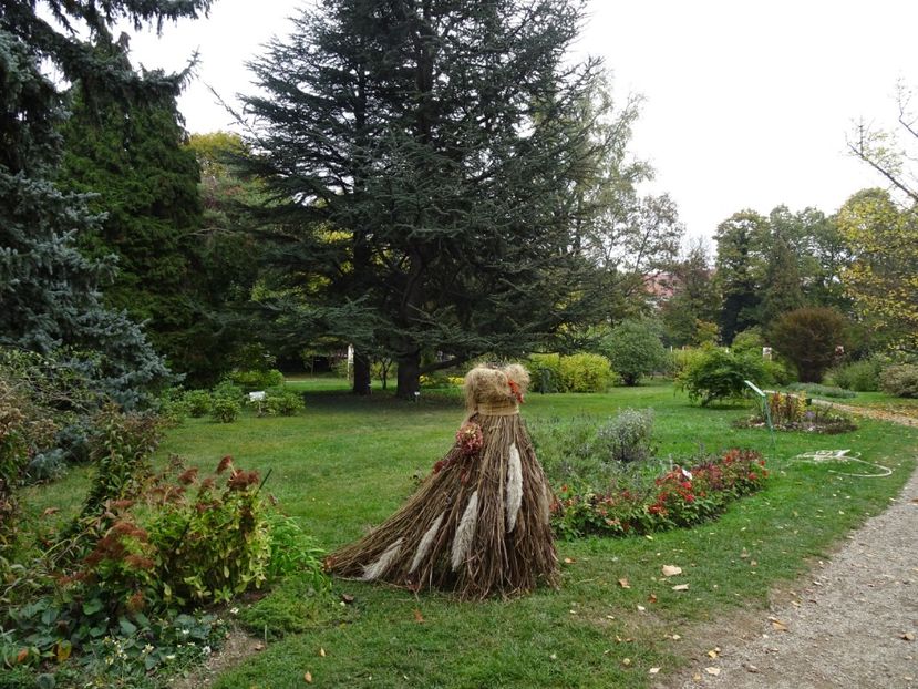  - Gradina Botanica - oct 2019