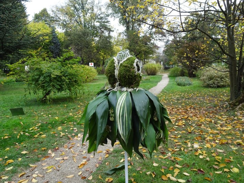  - Gradina Botanica - oct 2019