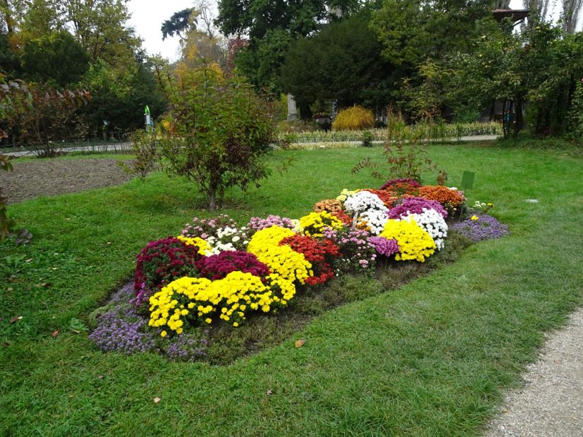  - Gradina Botanica - oct 2019