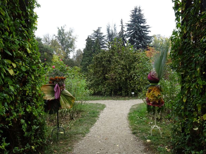  - Gradina Botanica - oct 2019