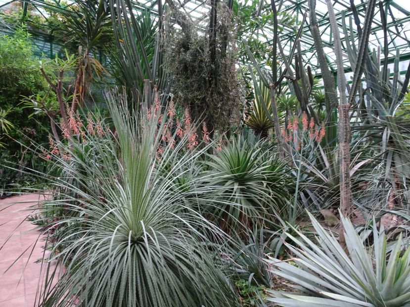  - Gradina Botanica - oct 2019