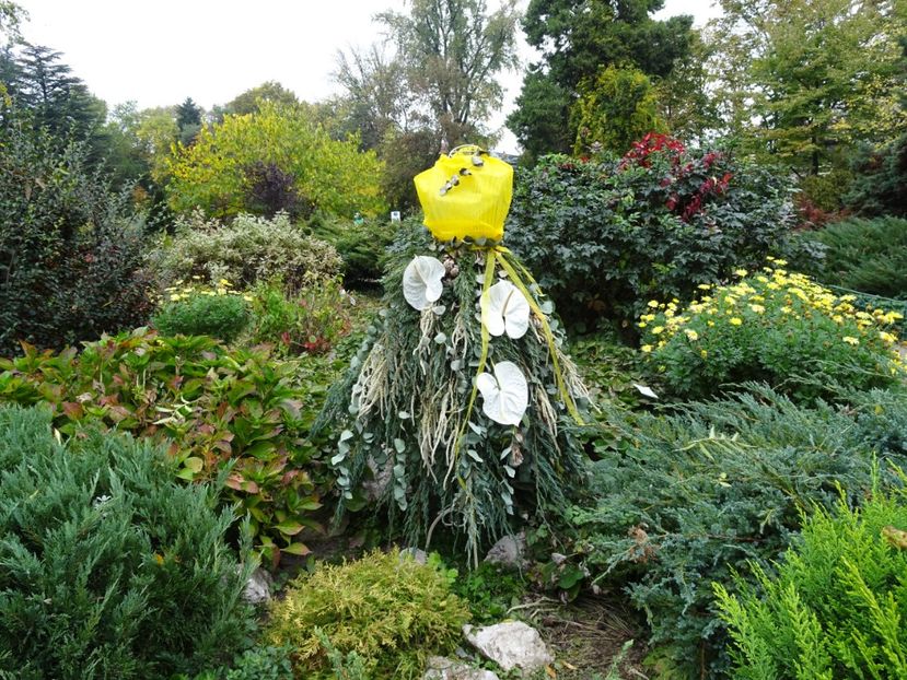  - Gradina Botanica - oct 2019
