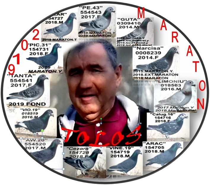 MARATON 2019- - 1 SOSIRI FOND SI MARA 2018-2019