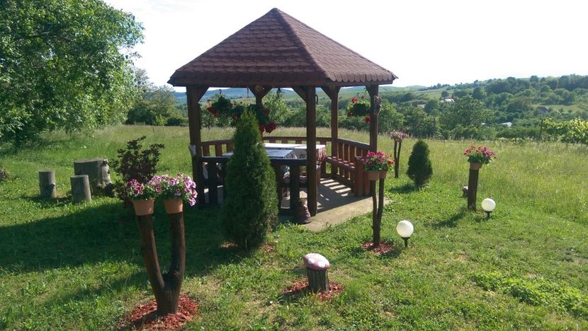  - Un mic colt de rai