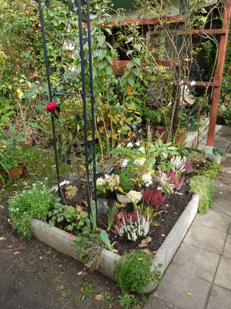  - 2019 - 03 - Toamna