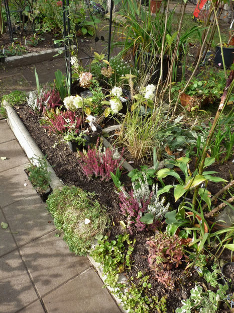  - 2019 - 03 - Toamna