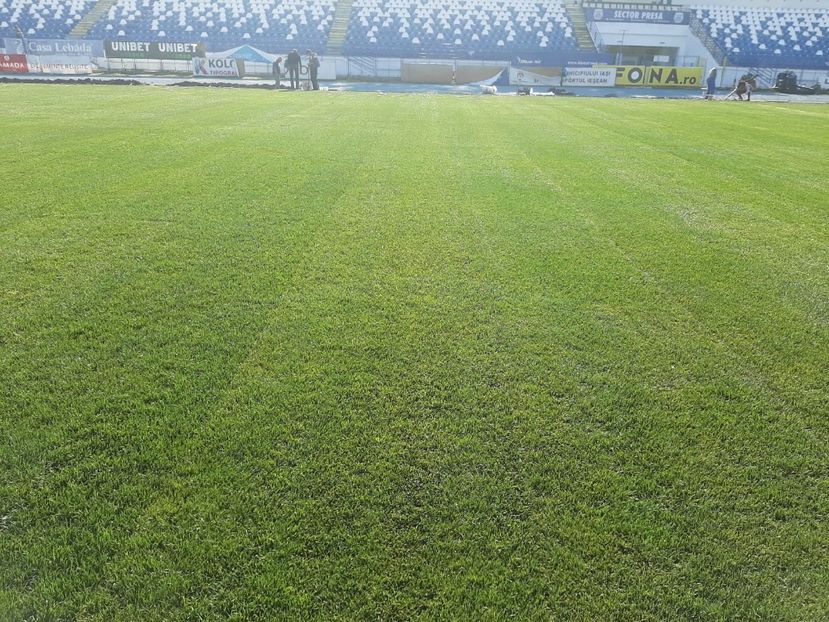 Stadion Poli Iasi gazon tratat cu Super Fifty poza 3 - 30 cot 2019 - 30 octombrie 2019 Gazon Stadion Poli Iasi tratat cu Super Fifty
