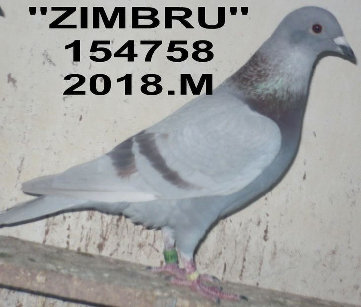 .2018.154758.M - Copy (2) - 2 MATCA 2020