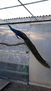 temp3 - PAUNI SPALDING