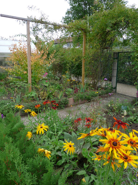  - 2019 - 03 - Toamna