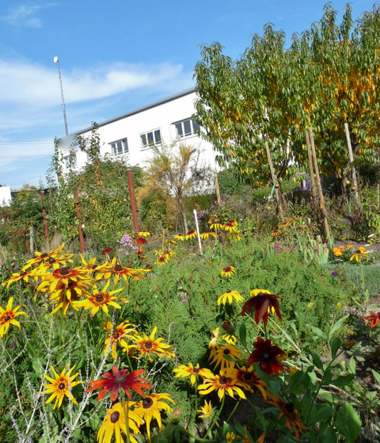  - 2019 - 03 - Toamna