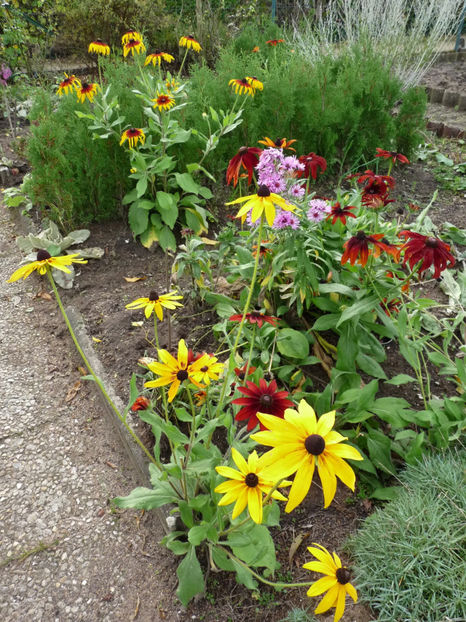  - 2019 - 03 - Toamna