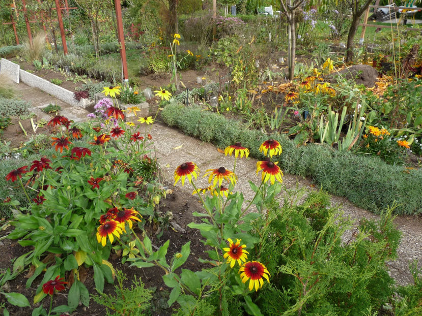  - 2019 - 03 - Toamna