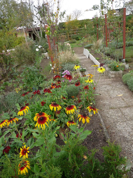  - 2019 - 03 - Toamna