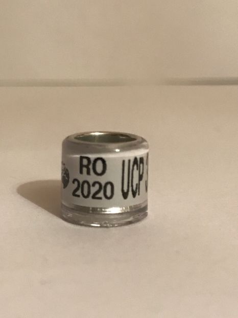 69AA5715-B983-473E-844C-7165CB7F59C8 - 00 Inele Porumbei Voiajori UCP 2020 cu talon