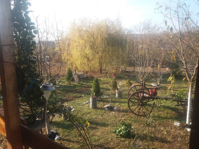  - Casuta noastra de la tara