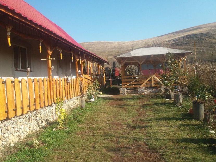 75394823_2404960883076959_3456065693810688000_n (1) - toamna 2019