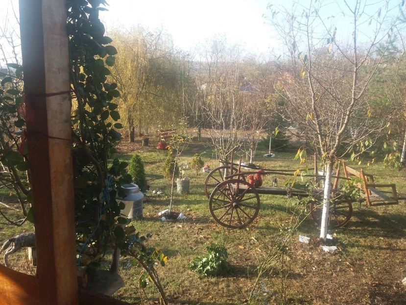 76762602_2238948536211049_683469458756337664_n (1) - toamna 2019