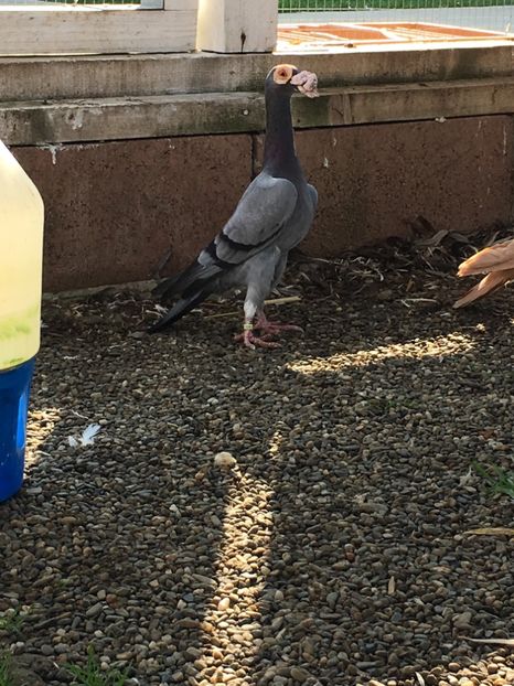 9F7AF64F-80A8-4C36-8F24-773ECB2A745C - Carieri Matca 2021