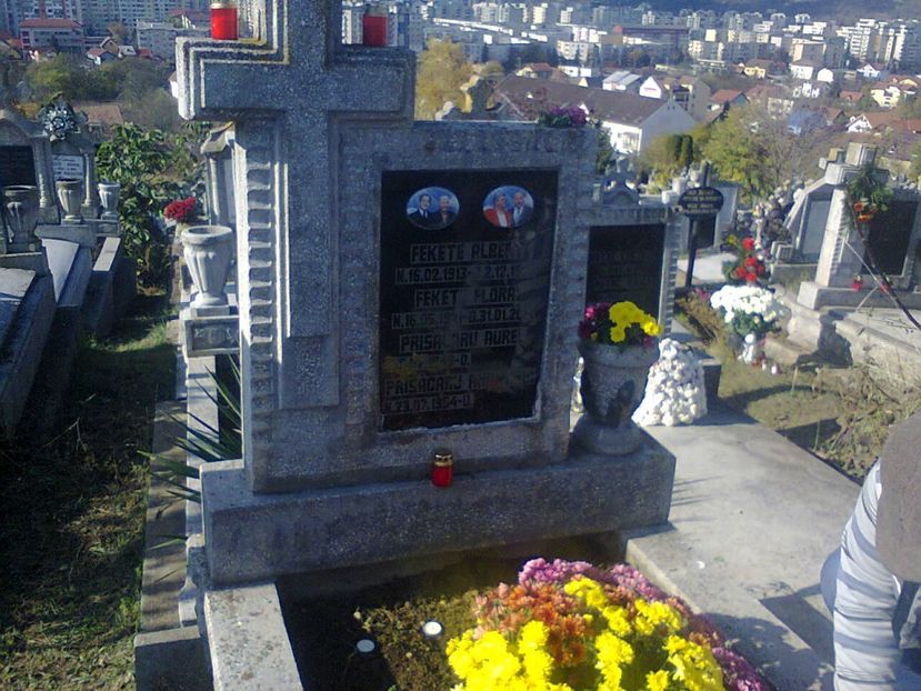 Fotografie5435 - 2019 LUMINAȚIE 1 nov