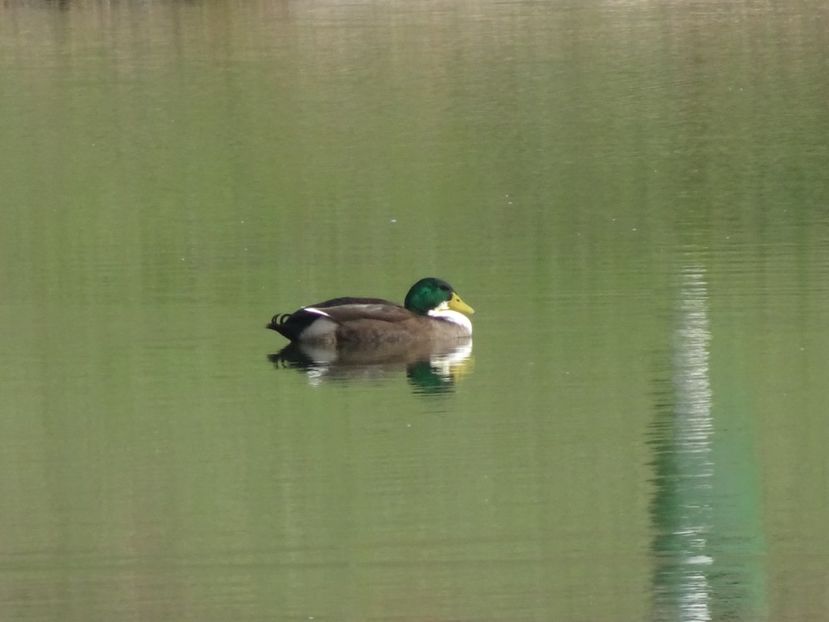 - Parcul Tineretului nov2019