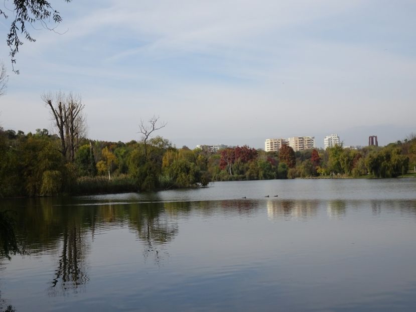  - Parcul Tineretului nov2019