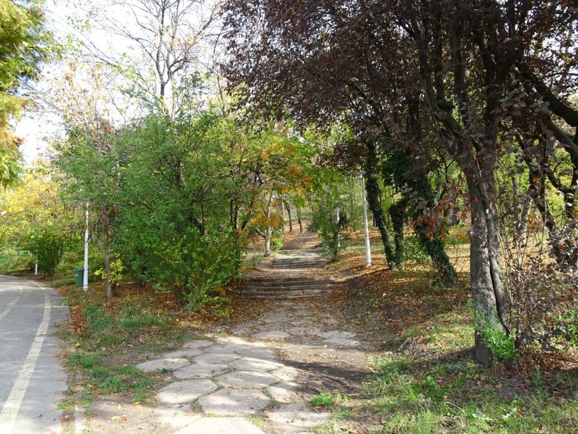  - Parcul Tineretului nov2019